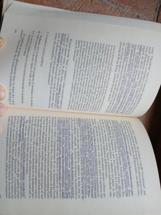 Lo stato di diritto storia, teoria, critica