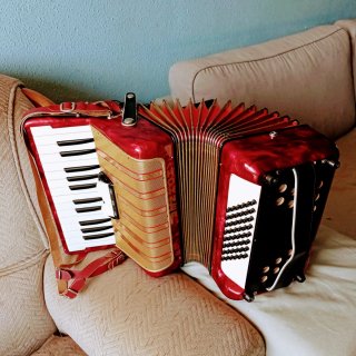 Acordeón Hohner Student V 48 Bajos
