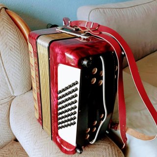 Acordeón Hohner Student V 48 Bajos