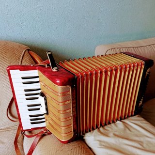 Acordeón Hohner Student V 48 Bajos