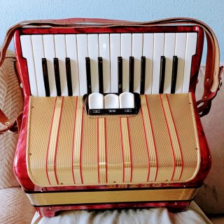 Acordeón Hohner Student V 48 Bajos