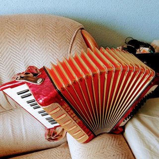 Acordeón Hohner Student V 48 Bajos