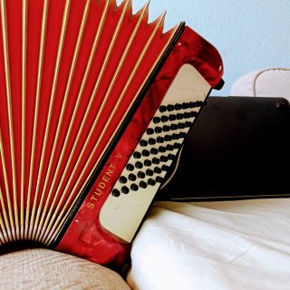 Acordeón Hohner Student V 48 Bajos