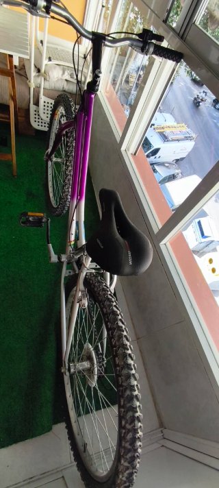 Bicicleta montaña plateada y morada