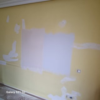 Pintor profesional autonomo.