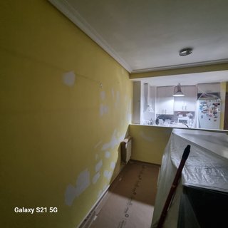 Pintor profesional autonomo.