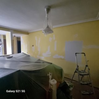 Pintor profesional autonomo.