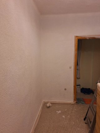 Pintor profesional