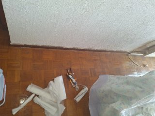 Pintor profesional