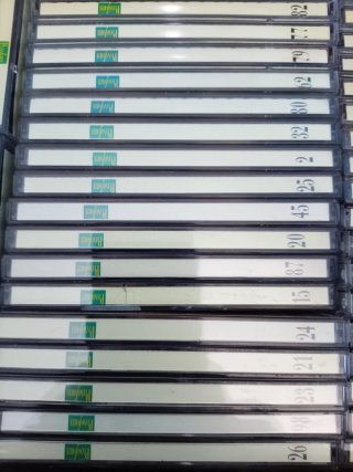 Lotti CD Musica Classica