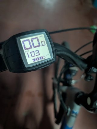 Bicicleta eléctrica motor y batería Bosch