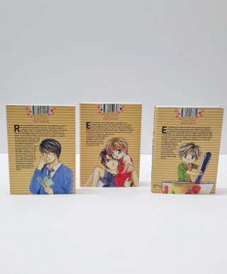 Novio absoluto Manga (ECC) (3 Tomos)