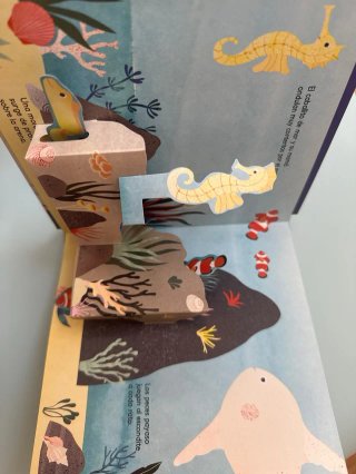 Océano Pop-up