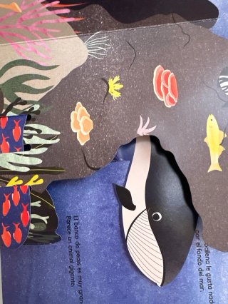 Océano Pop-up