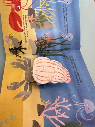 Océano Pop-up