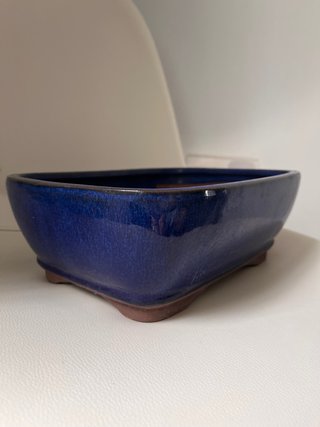 Maceta de bonsai azul cerámica
