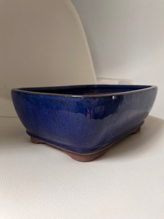 Maceta de bonsai azul cerámica