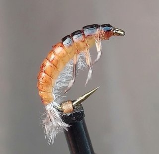 NINFAS PARA PESCA CON MOSCA