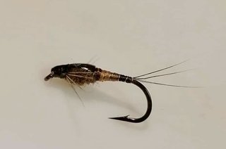 NINFAS PARA PESCA CON MOSCA