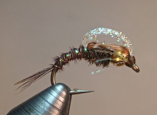 NINFAS PARA PESCA CON MOSCA