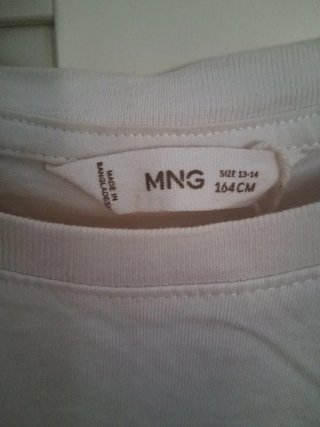 Camiseta Mango San Francisco Golden Gate