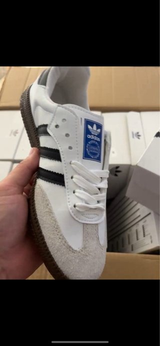 Todas las Tallas adidas samba