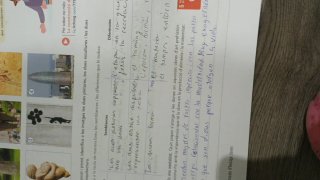 Geografía i Historia 1 Eso