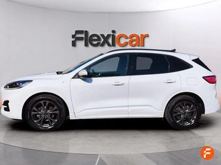 Ford Kuga ST-Line 2.5 Duratec FHEV 140kW 4x4 Auto