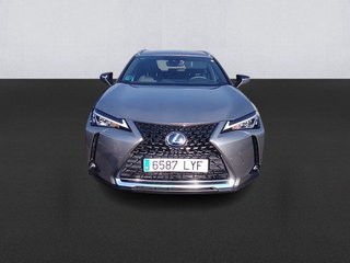 Lexus UX 250h Business 2WD 135 kW (184 CV)