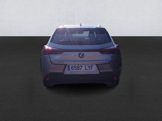 Lexus UX 250h Business 2WD 135 kW (184 CV)