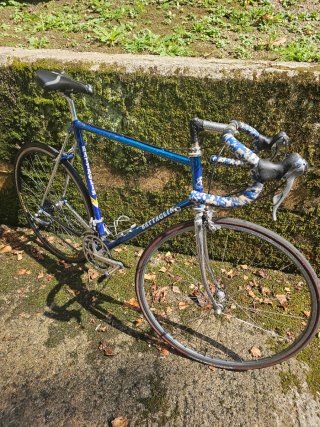 Bicicleta Clásica Azul