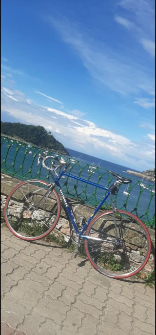 Bicicleta Clásica Azul