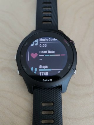 Garmin Forerunner 255 Gris