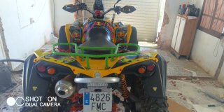 Can-Am Renegade 800