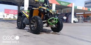 Can-Am Renegade 800