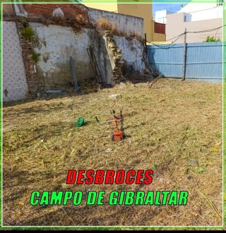 DESBROCES RAPIDOS Y ECONOMICOS CAMPO DE GIBRALTAR