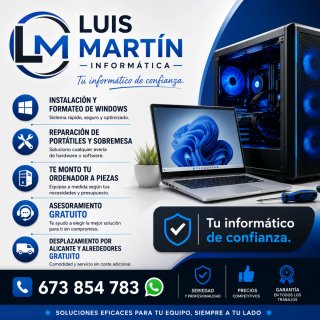 Técnico informático