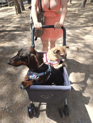 TRANSPORTE A DOMICILIO