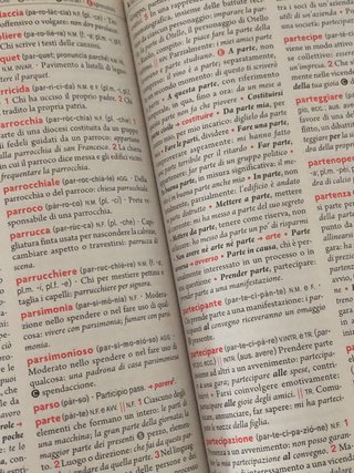 Il nuovo Devoto-Oli junior. Il mio primo vocabo...