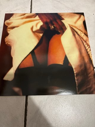 Vinile The Twilight Singers