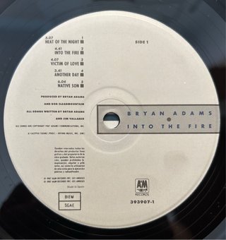 Vinilo Bryan Adams - Into the Fire