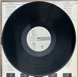 Vinilo Bryan Adams - Into the Fire