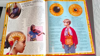 El Cuerpo Humano - Libro Ilustrado.