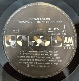 Vinilo Bryan Adams - Waking Up the Neighbours