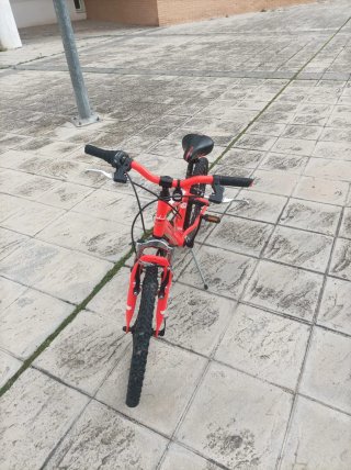 Bicicleta Infantil 20 WST