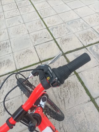 Bicicleta Infantil 20 WST