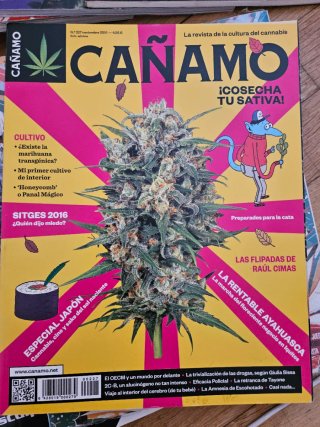 Revistas Cáñamo