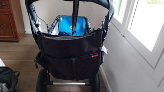 Bugaboo Cameleon (Capazo/Silla)