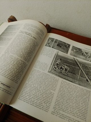 Enciclopedia Mundial del Fútbol (6 Tomos)