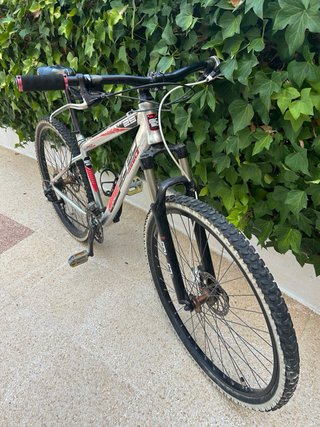 Bicicleta R29 8x3 Velocidades